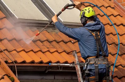 Démoussage et hydrofuge de toiture à Faverdines